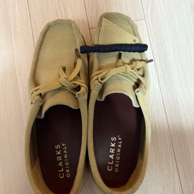 클락스왈라비 240 메이플