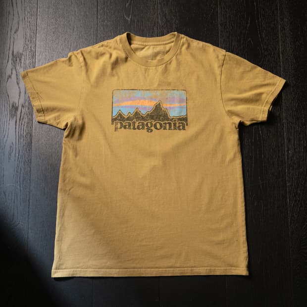 Patagonia Old Logo T-shirt / L(100~105)