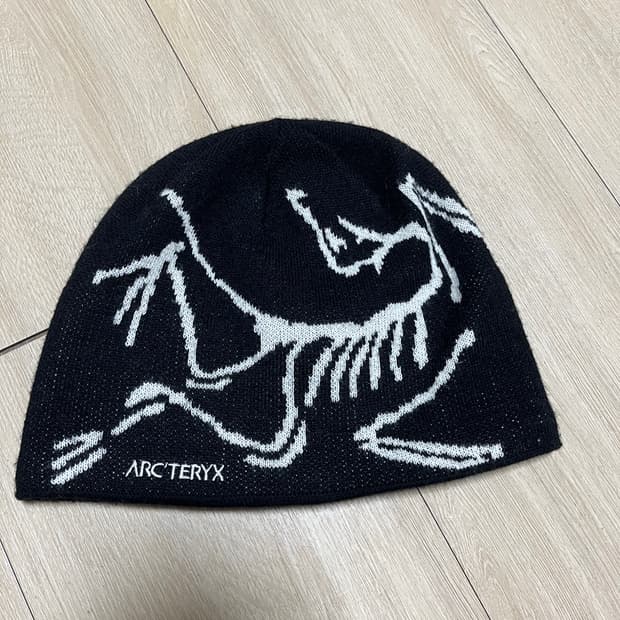 아크테릭스 버드 헤드 토크 비니