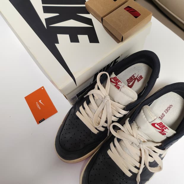 조던1 나이젤 실베스터 270