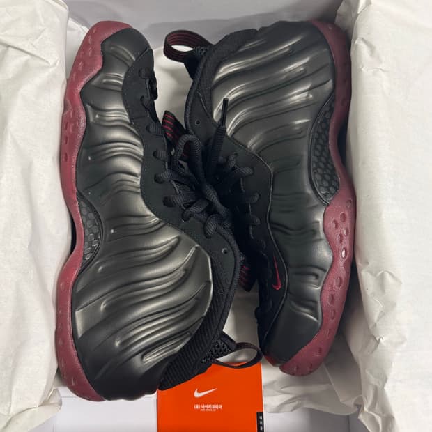 나이키 에어 폼포짓 원 250