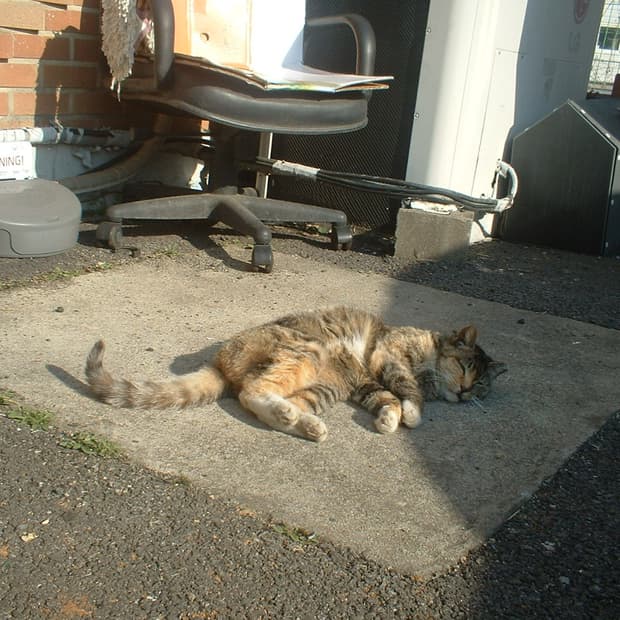 후지필름 파인픽스 a202   눈물의 급처....