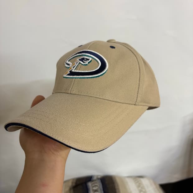 Vintage 90s arizona ballcap