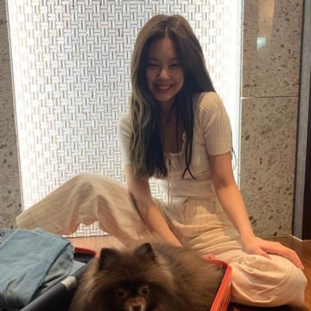 Sandro 산드로 제니니트