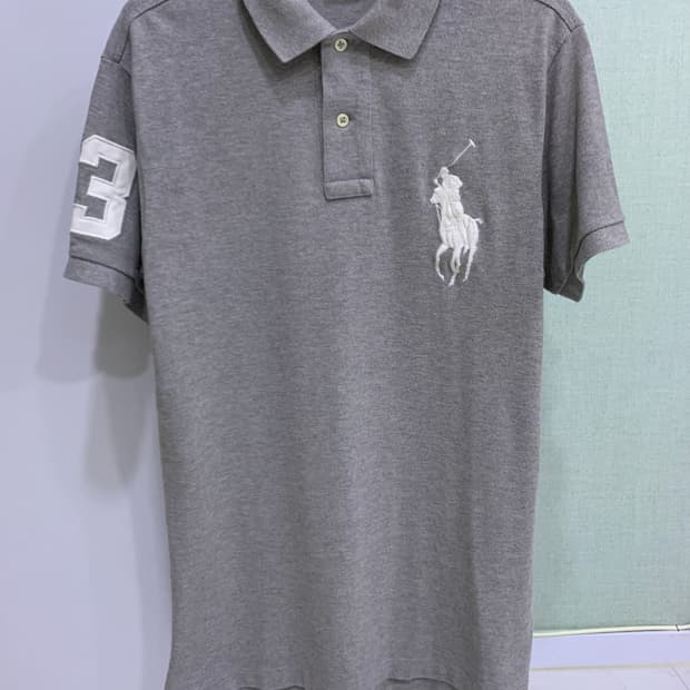 폴로 빅포니 그레이