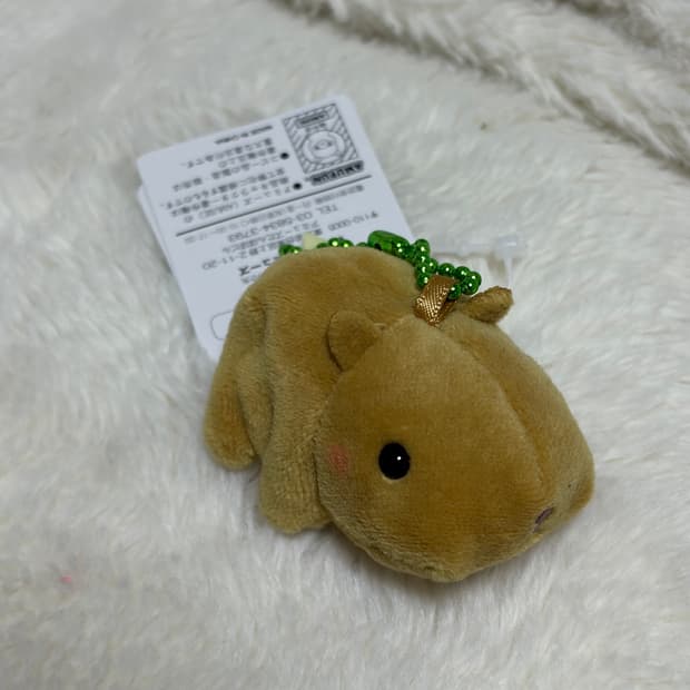어뮤즈 정품 카피바라 키링인형