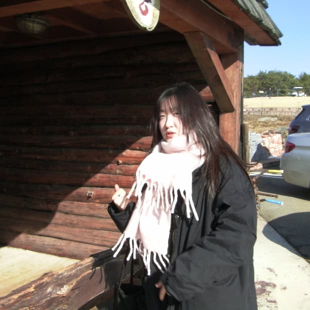 산요 작티 Sanyo Xacti VPC-GH3EX 캠코더