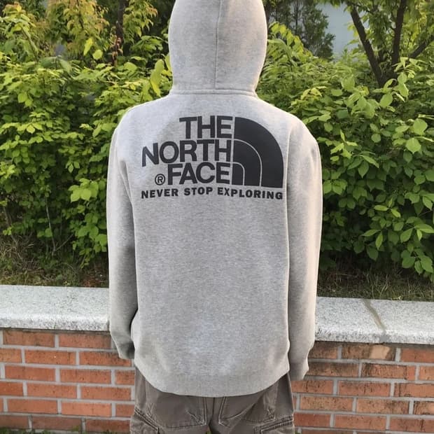 The North Face Big Logo Zip Hoodie