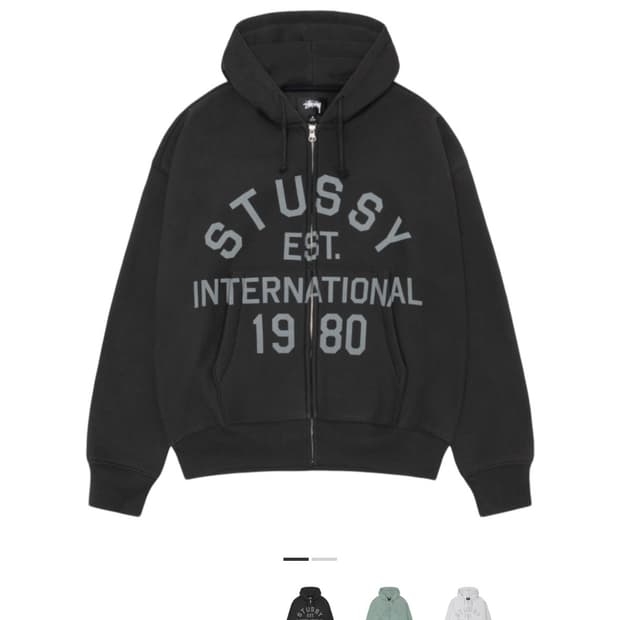 스투시 이스테블리시드 집 후드 