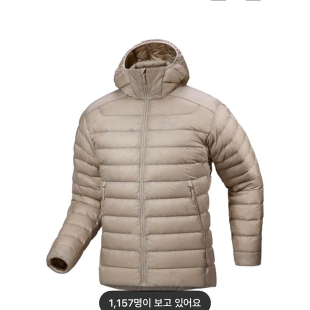 아크테릭스 세륨후디 룬 