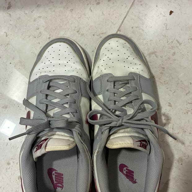 나이키 덩크로우 270