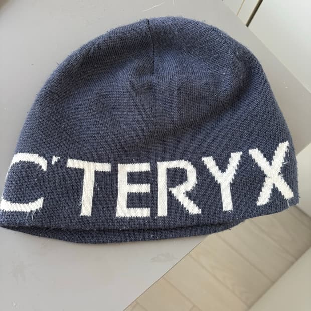 아크테릭스 비니