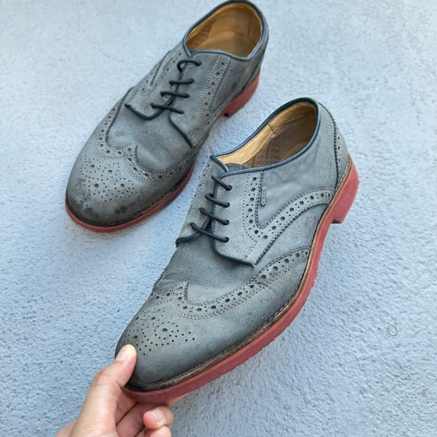 REGAL wing tip