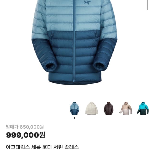 아크테릭스 세륨 후디 서린 솔레스 S