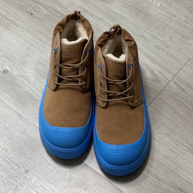 어그 타스만 300