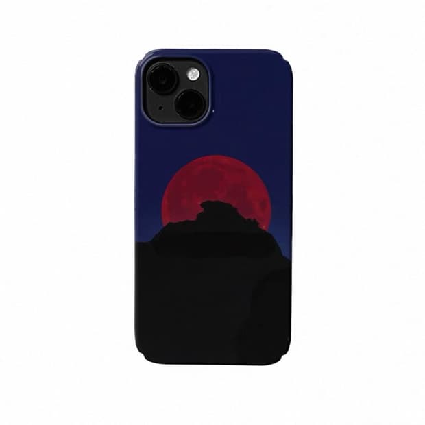 Phone case