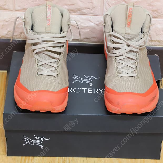 Arc'teryx Aerios FL 2 Mid GTX (아크테릭스 슈즈)