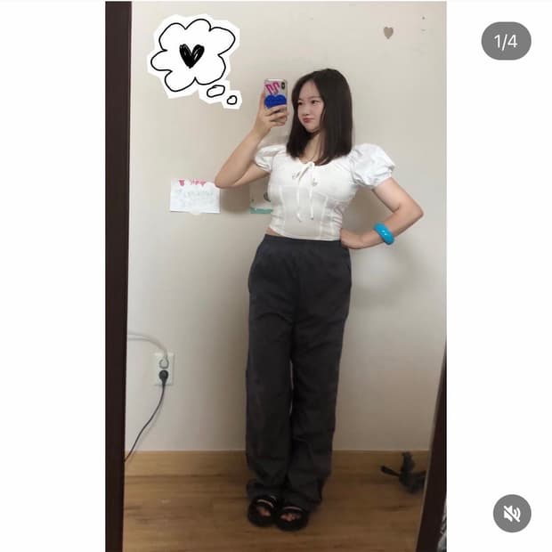 윙크 건강식품 19 🍠