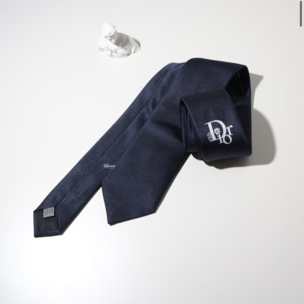 dior x erl 넥타이