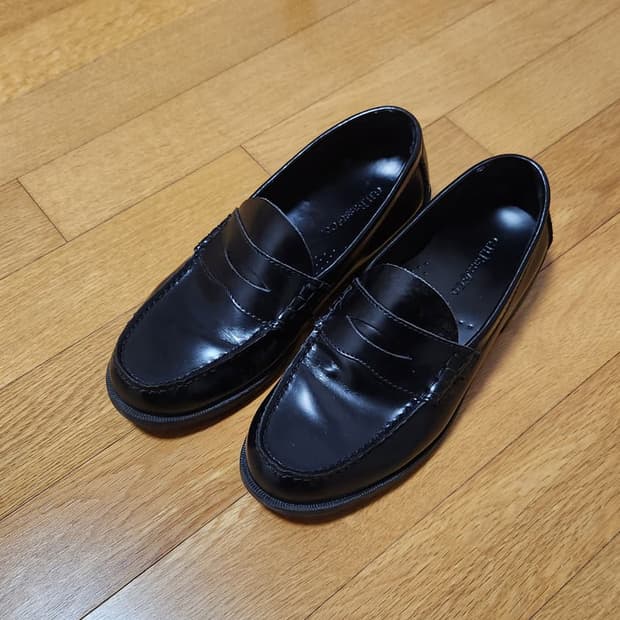 바스 페니로퍼 250