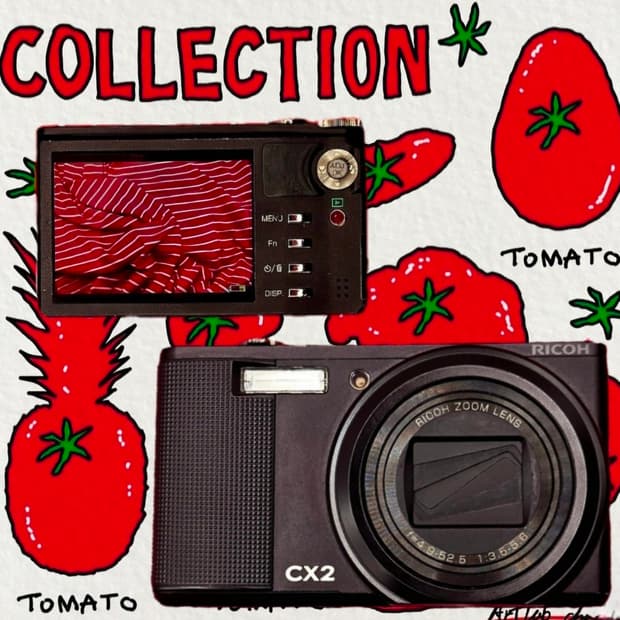 ☆초보입문용☆ 리코 CX2 / 빈티지디카 