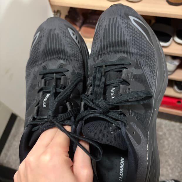 살로몬 drx 블리스