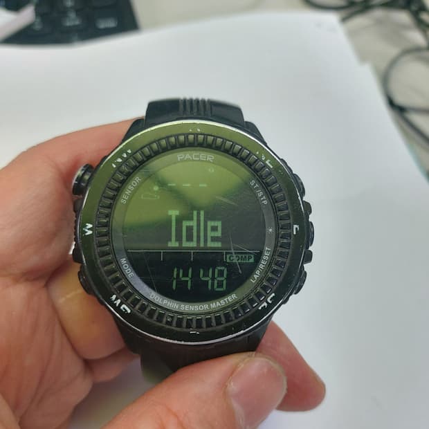 PACER 돌핀 센서 마스터 시계