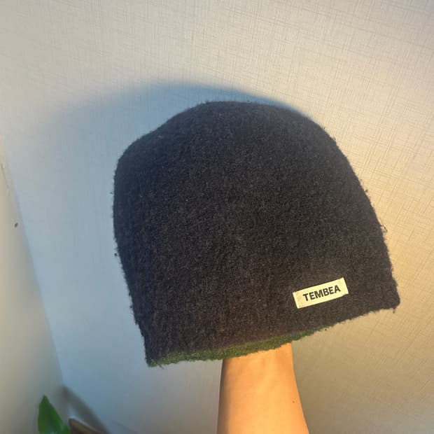 템베아 알카파 비니