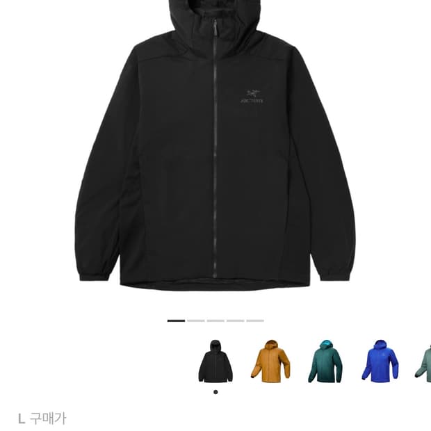 아크테릭스 아톰 후디