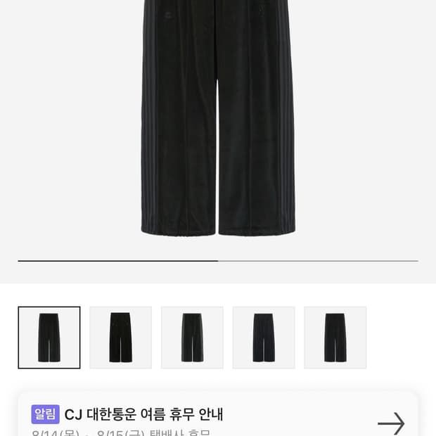 폴리테루