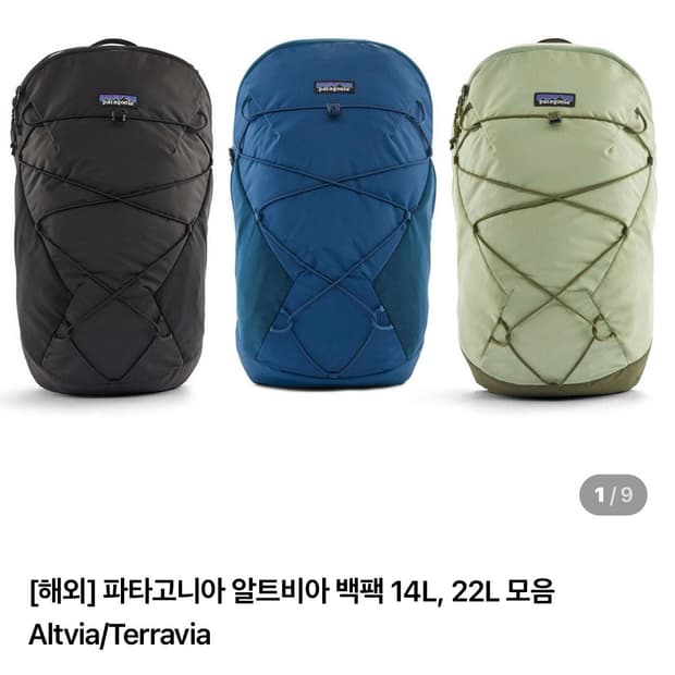 파타고니아 알트비아 백팩 14L 블루