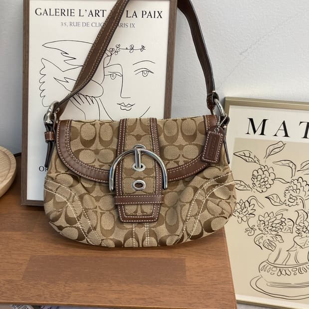 Coach brown basic bag