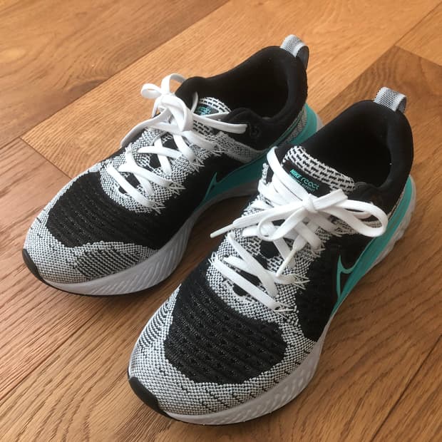 나이키 리액트 인피니티 런 플라이니트 2 (235)