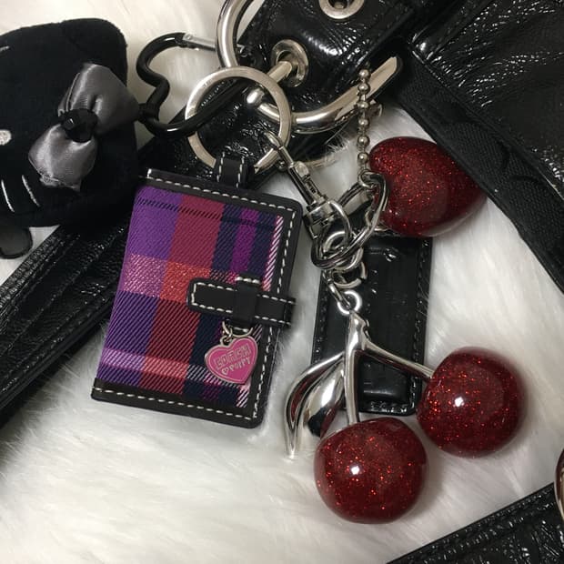 Coach frame poppy keyring