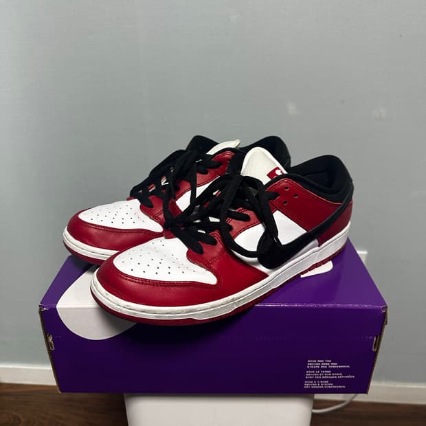 [300] Nike SB Dunk Low Pro Chicago