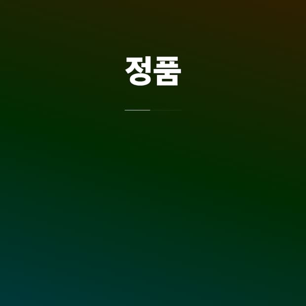 100 ) 정품 스톤아일랜드 자수 반팔티