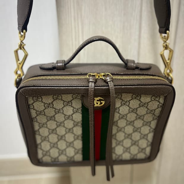 Gucci 오피디아 GG