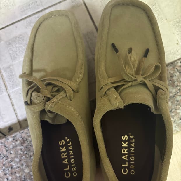 [250] 클락스 왈라비