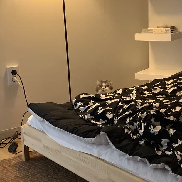 키티버니포니 플레인 해피 버니 이불 커버 퀸사이즈 duvet cover