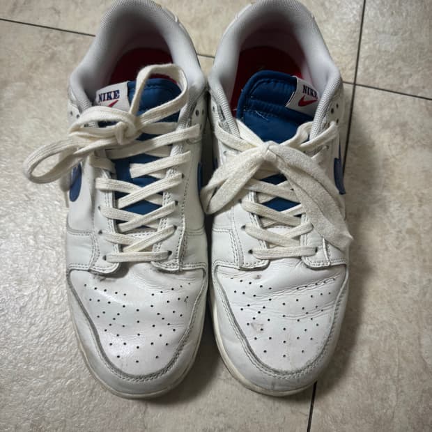 나이키 덩크 로우 270