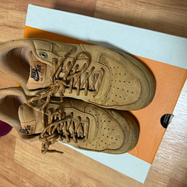 나이키 된장포스 260