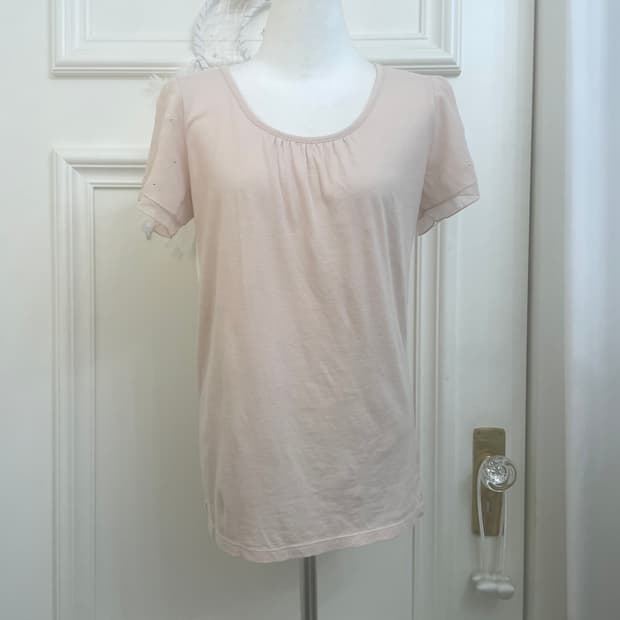 sheer pink sleeve cubic point top