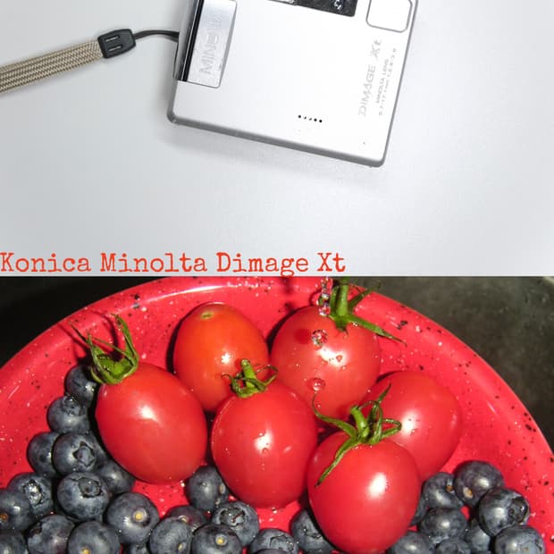 Konica Minolta Dimage Xt