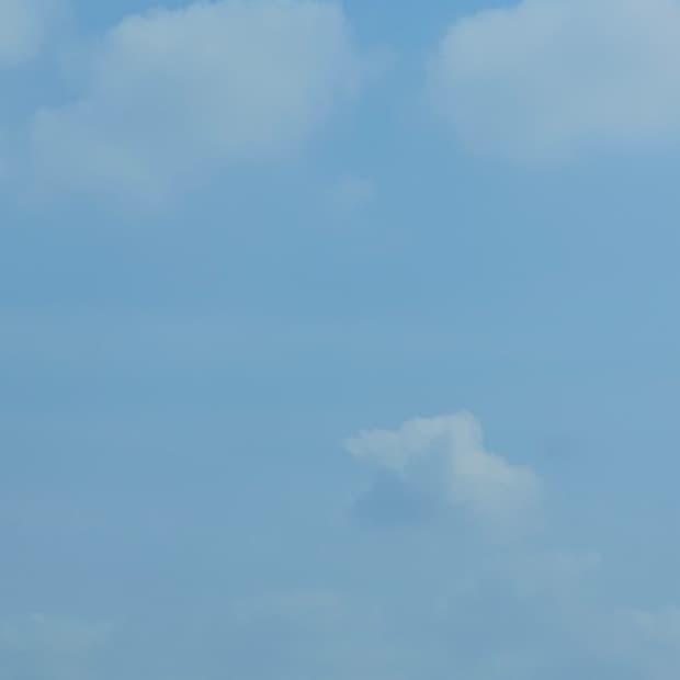 꼼데 후드집업 회색 구매 합니다