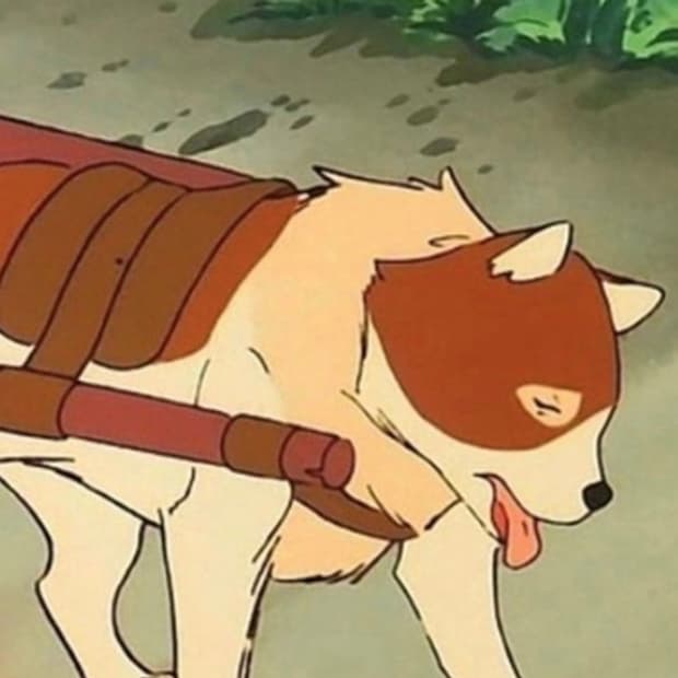 아프레쎄 후드집업 그레이(3,4사이즈 삽니다)