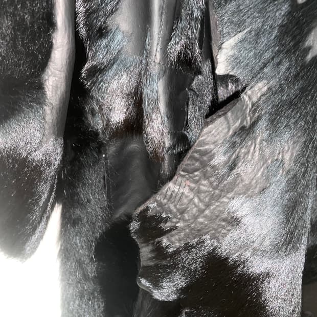 텐쎄이오또