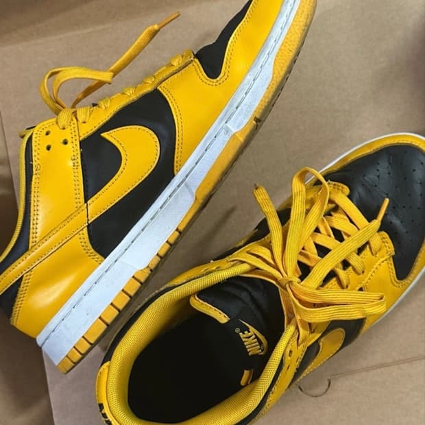 280 덩크 골든로드