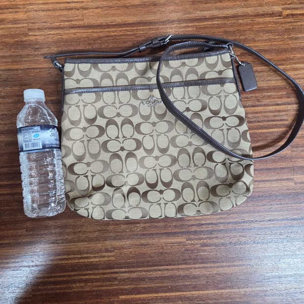 코치 은장 크로스백 