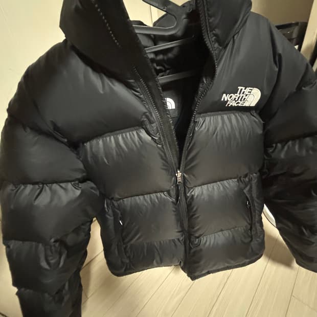 노스페이스 눕시 1996에코(L)