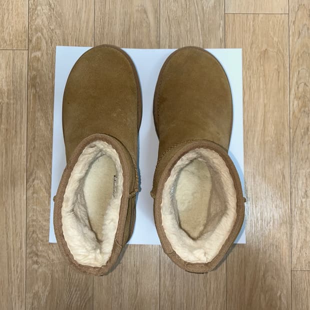 (W) 어그 클래식 미니 플랫폼 부츠 체스트넛